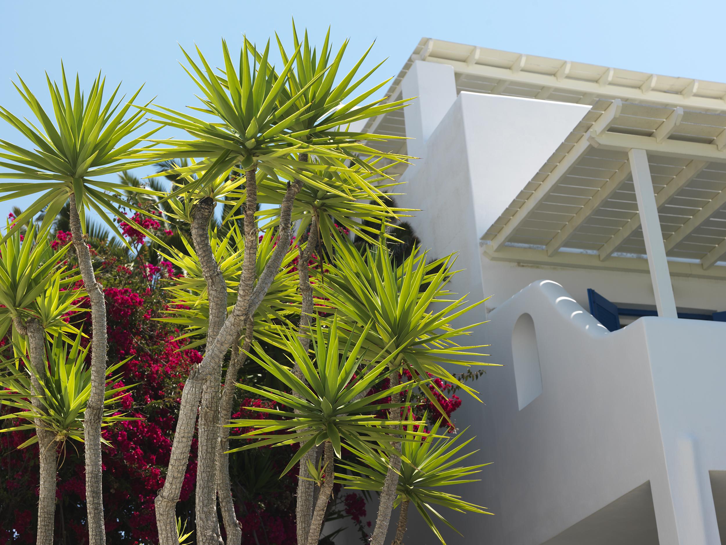 Aloni Hotel & Suites Piso Livadi Eksteriør bilde